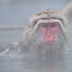 入浴の歴史